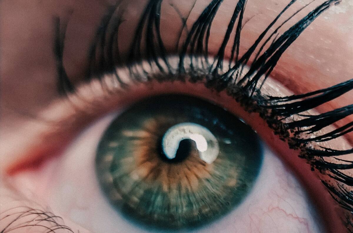 Descubre el truco casero para pestañas de impacto sin postizos