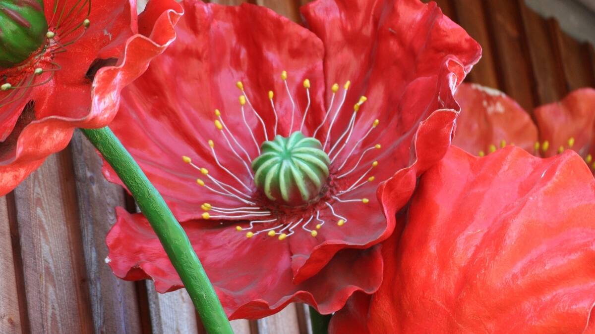 Plantas artificiales: ¿Por qué deberías evitarlas en tu hogar según el Feng Shui?