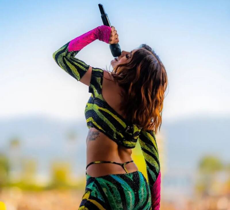 Por esta razón, Anitta bloqueó en Twitter al presidente de Brasil, Jair Bolsonaro - Créditos: Instagram