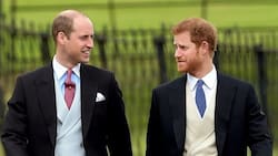 Harry busca tregua con William para posible retorno a Reino Unido por problemas de dinero