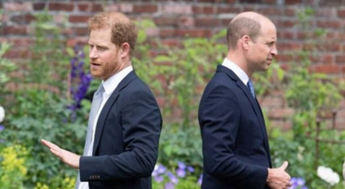 ¿Qué muestra el documental que indignó a la realeza británica? Los príncipes Harry y William: ¿distanciados? - Créditos: Instagram