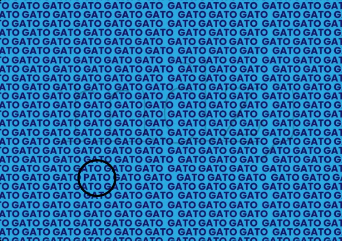Reto: ¿Crees poder encontrar la palabra “pato” en esta imagen en menos de 15 segundos? - Créditos: Instagram