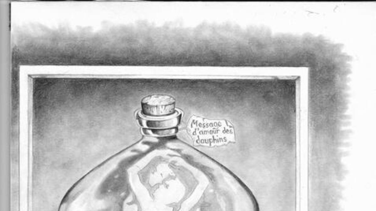 Reto visual: Encuentra a los delfines dentro de esta botella