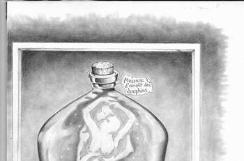 Reto visual: Encuentra a los delfines dentro de esta botella