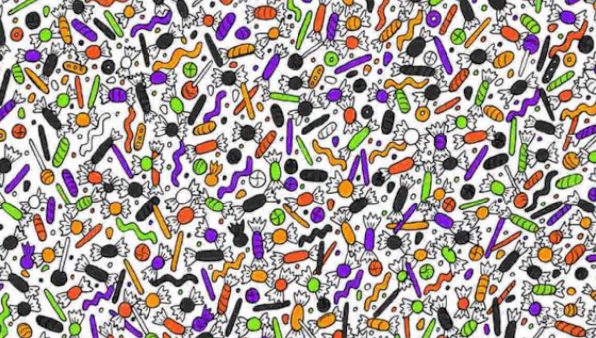 Reto visual: Encuentra a la araña - Créditos: Dudolf.com