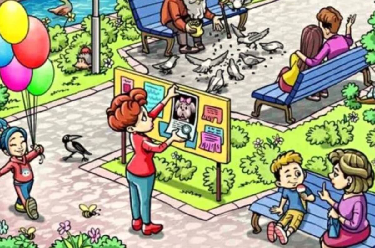 Reto: Esta mujer acaba de perder a su perrita y está desesperada ¿Tú la puedes encontrar?
