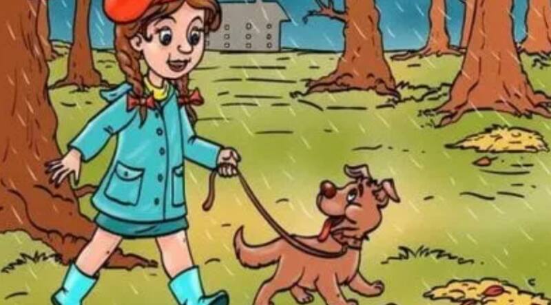 Reto Visual: Encuentra a la tortuga - Créditos: Libero.pe