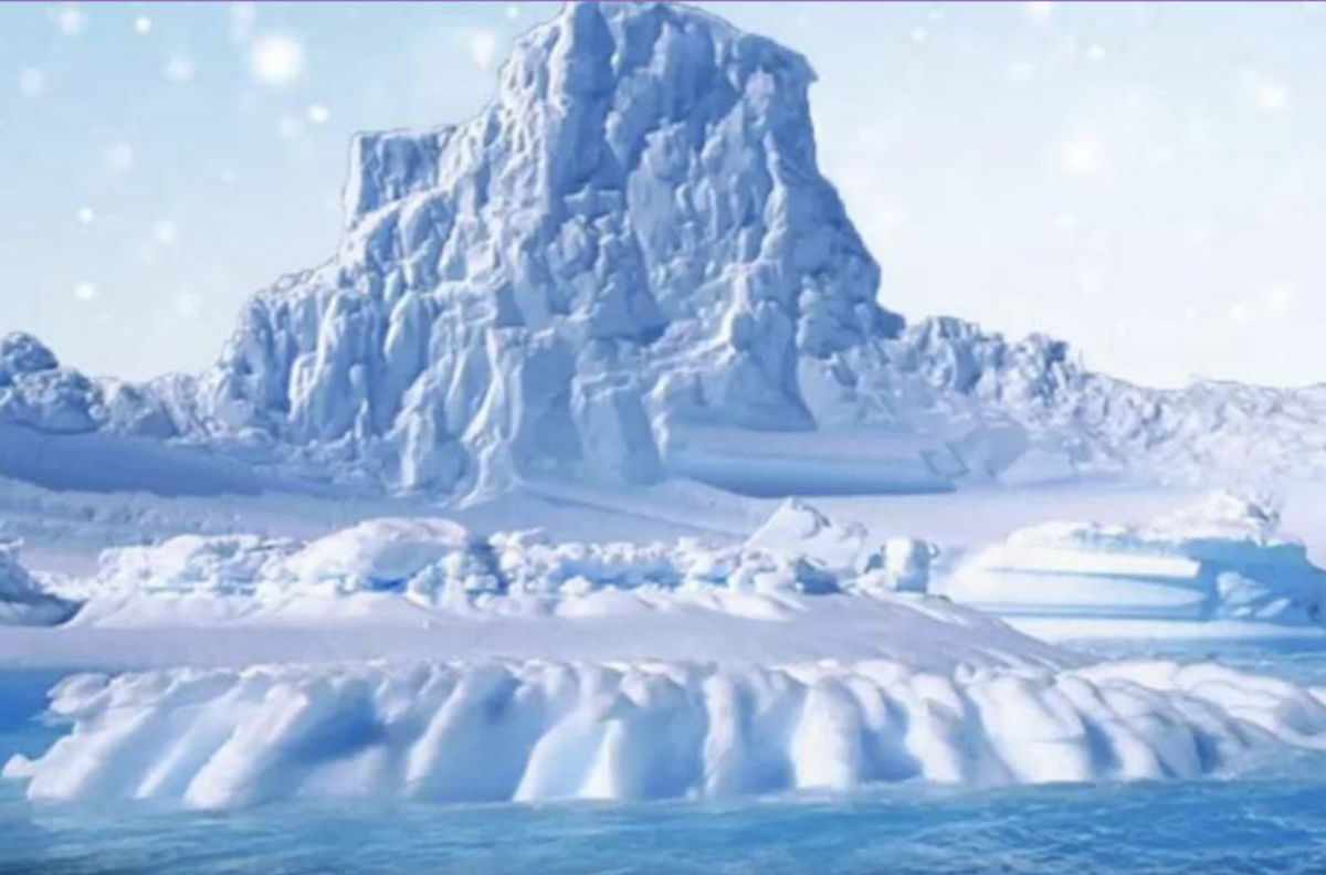 Reto visual: Encuentra al oso polar escondido en la nieve