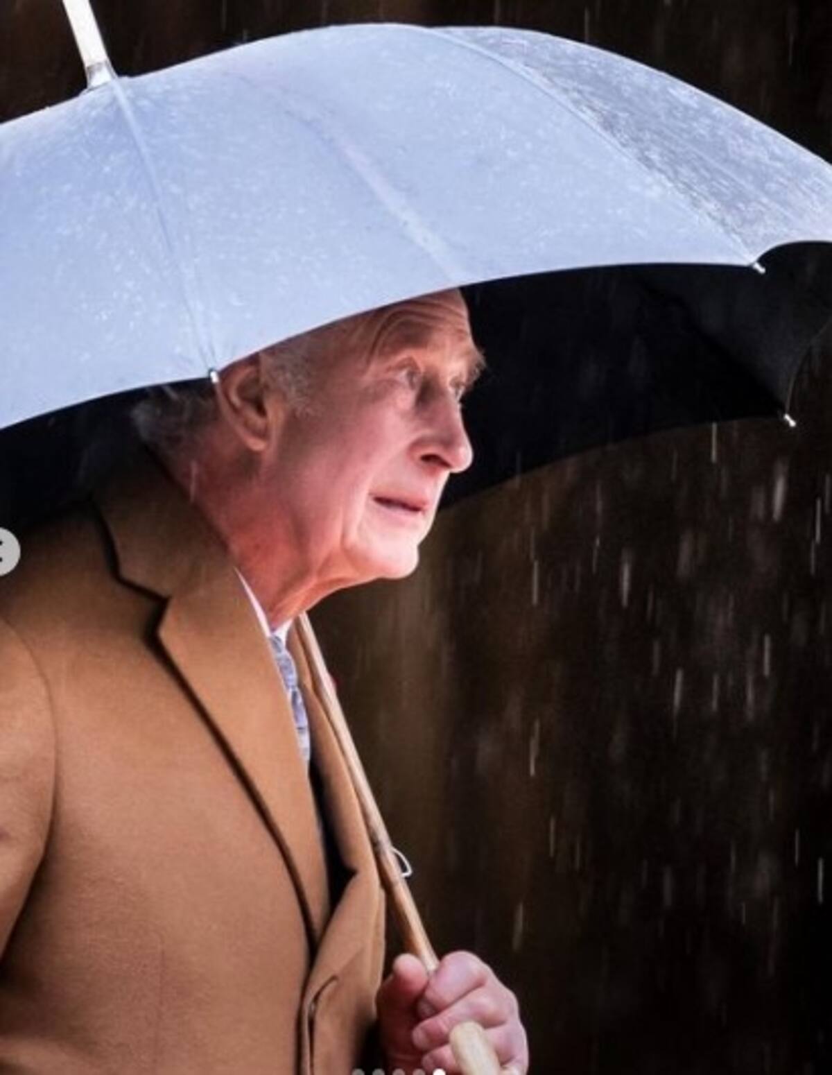 Rey Carlos III inaugura estatua de Isabel II y seguidores critican el poco parecido con la reina - Créditos: Instagram