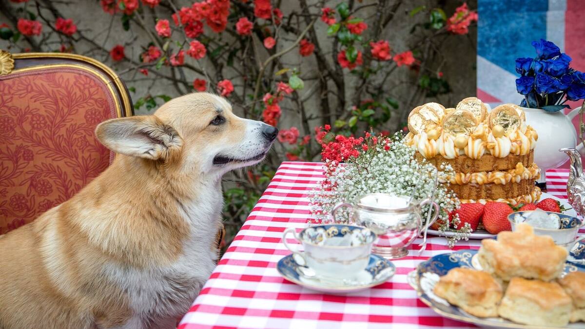 Sarah Ferguson se lleva a los corgis de la reina Isabel II a tomar el té previo a la coronación
