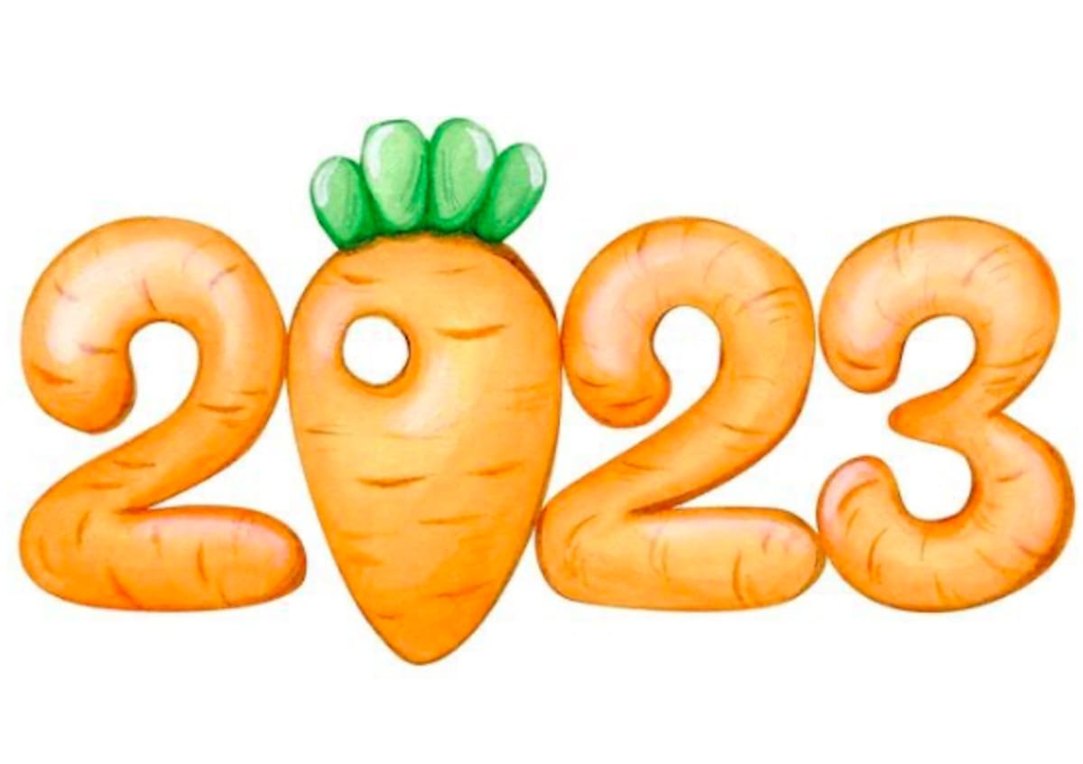 Según el calendario chino, el conejo es el animal del próximo año - Créditos: Instagram
