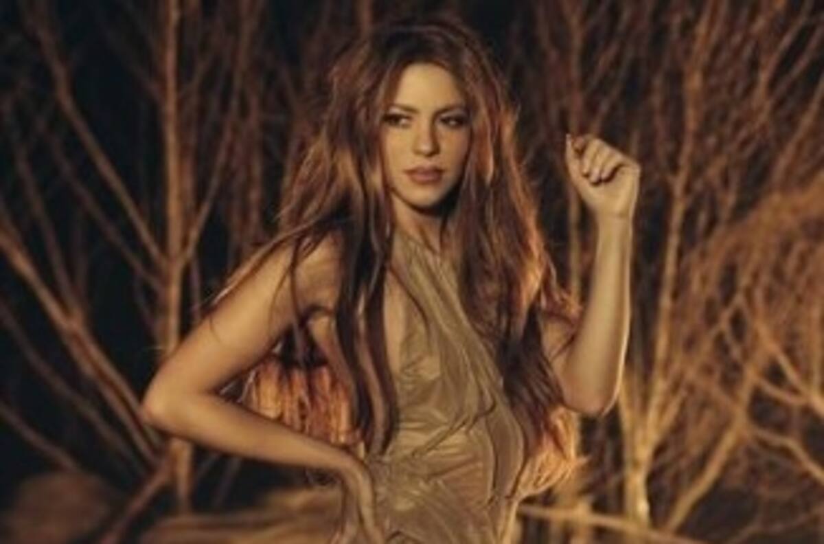 Shakira detrás de una isla privada en Florida para cuidar su privacidad