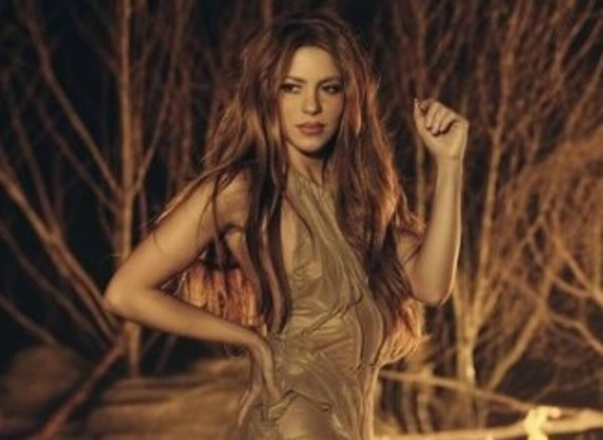 Shakira estaría pensando vivir en una isla privada en Florida para cuidar su privacidad - Créditos: Instagram