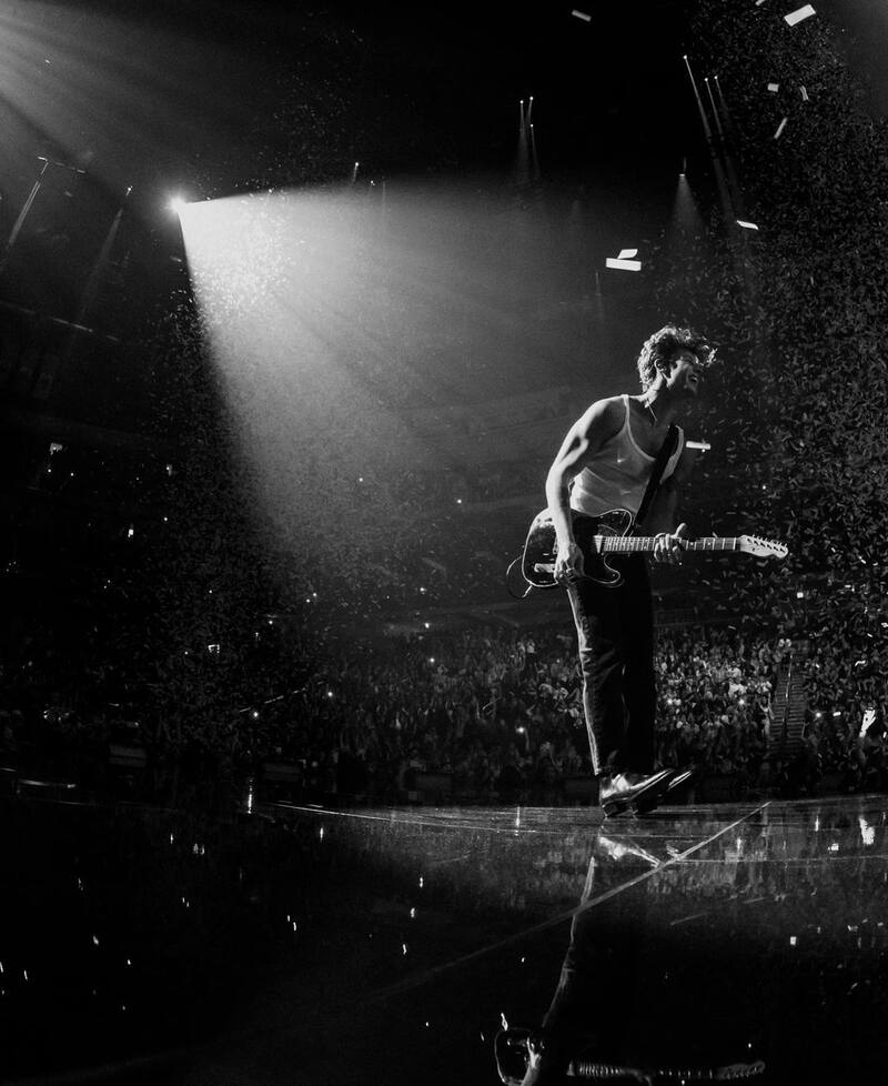 Shawn Mendes cancela su gira mundial - Créditos: Instagram