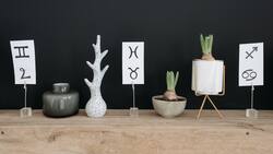 Horóscopo semanal para cada signo del zodiaco del 5 al 11 de junio