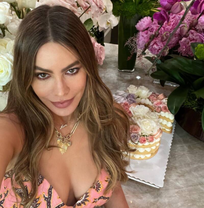 Sofía Vergara celebra su cumpleaños número 50 con impresionante look - Créditos: Instagram