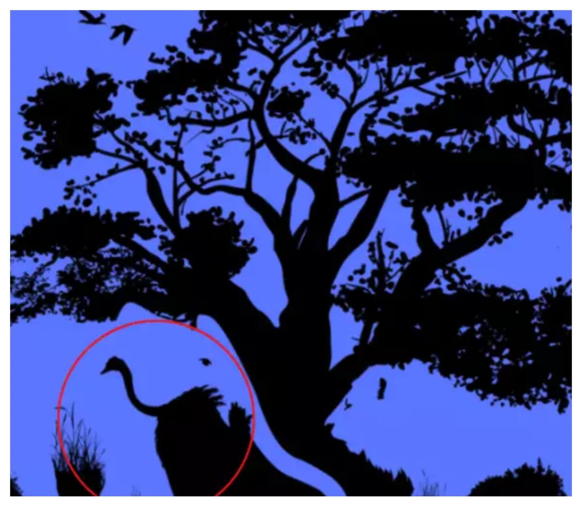 Test de inteligencia: la avestruz como primera visualización.