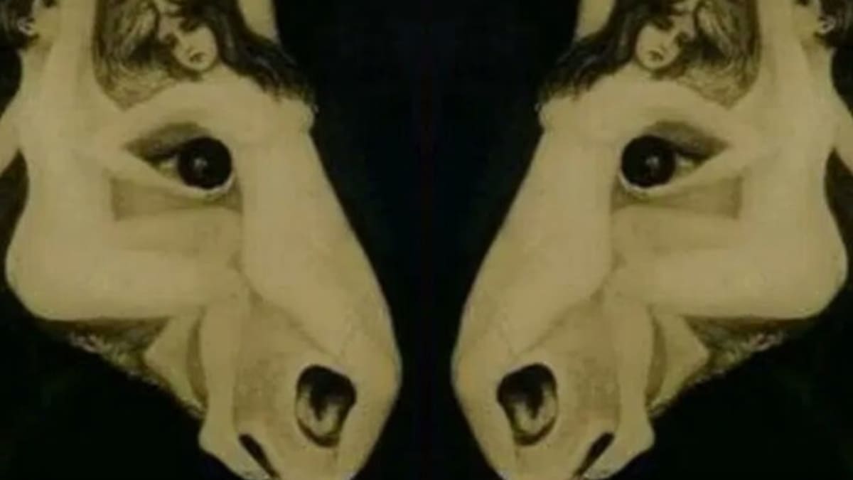 Test de personalidad: Un viaje visual al corazón de tus decisiones