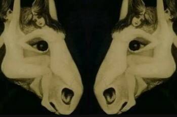 Test de personalidad: Un viaje visual al corazón de tus decisiones