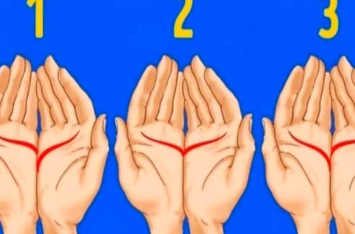 Test de Personalidad: Descubre tu esencia a través de las líneas de la mano