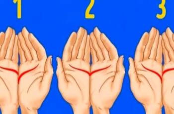 Test de Personalidad: Descubre tu esencia a través de las líneas de la mano