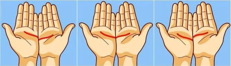 Descubre rasgos importantes de tu personalidad a travez de la raya de la palma de tus manos.