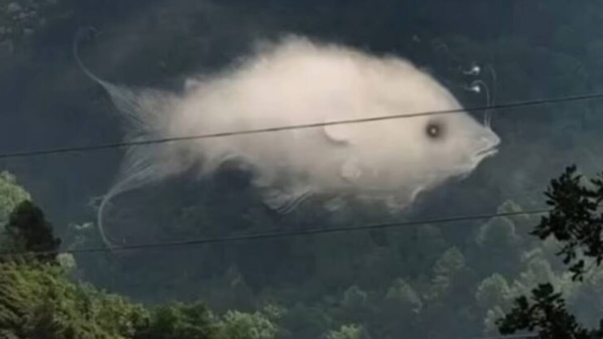 Test de personalidad: La ilusión óptica que revela tu esencia ROMÁNTICA