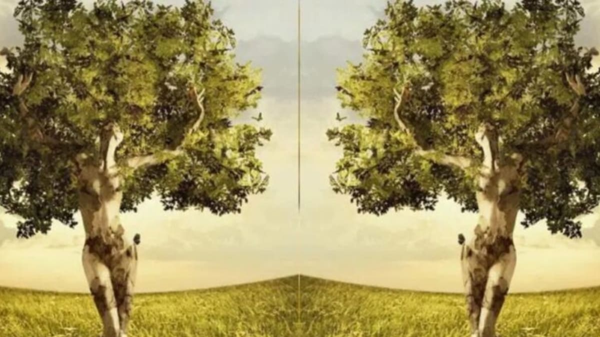 Test de personalidad: El test visual que revela tu atractivo único