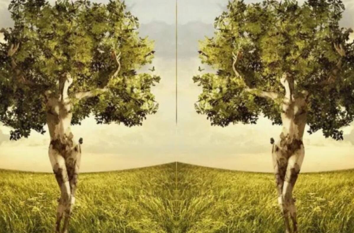 Test de personalidad: El test visual que revela tu atractivo único