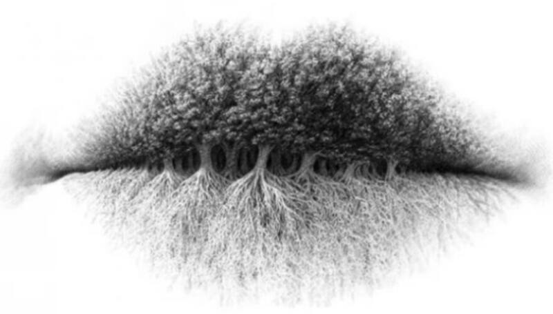 ¿Tienes la personalidad del tipo A? Descubrelo según lo primero que veas en la imagen.