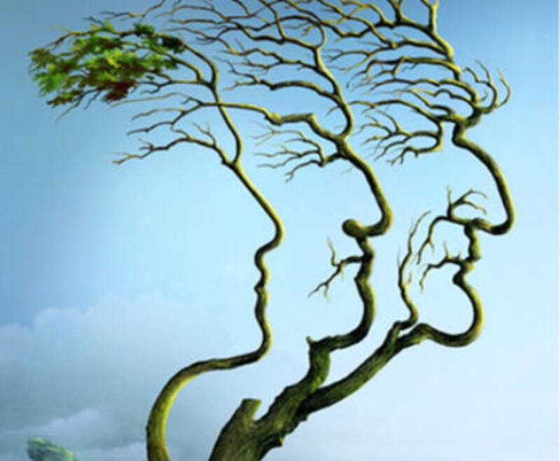 Test de personalidad: ¿Qué observas a primera vista? - Créditos: Libero.pe