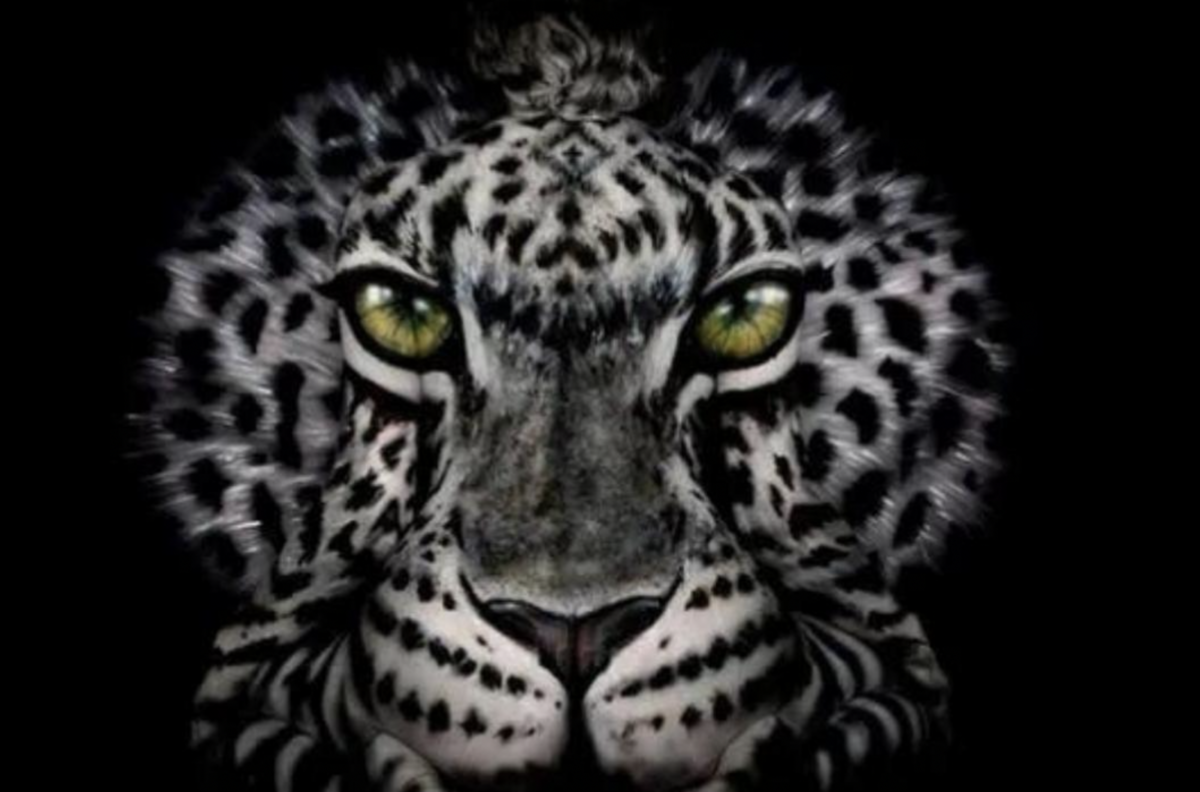 Test de personalidad: Si ves un tigre o una mujer te dirá si eres una persona práctica o no