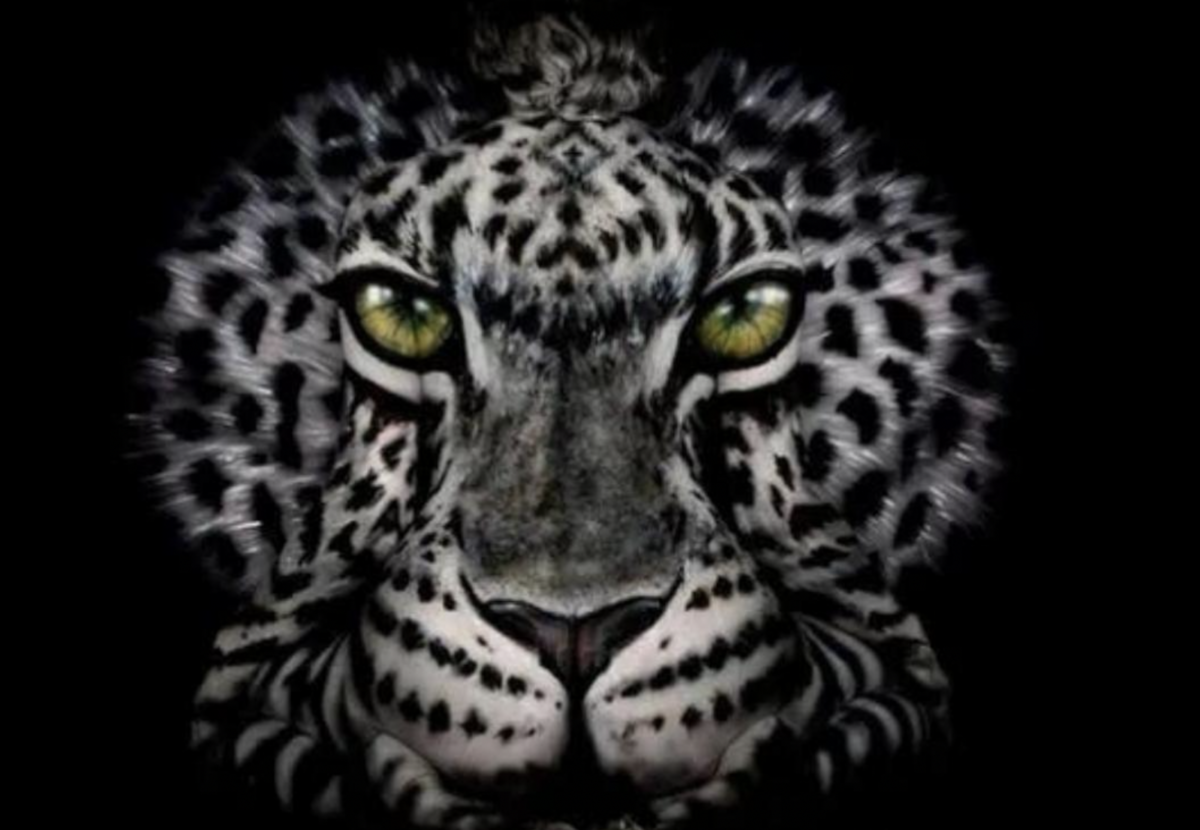 Test de personalidad: Si ves un tigre o una mujer te dirá si eres una persona práctica o no - Créditos: Otium