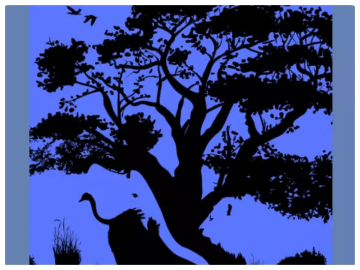 La figura contiene varios animales. Observa con detención y evalúa qué demuestra lo primero que viste.