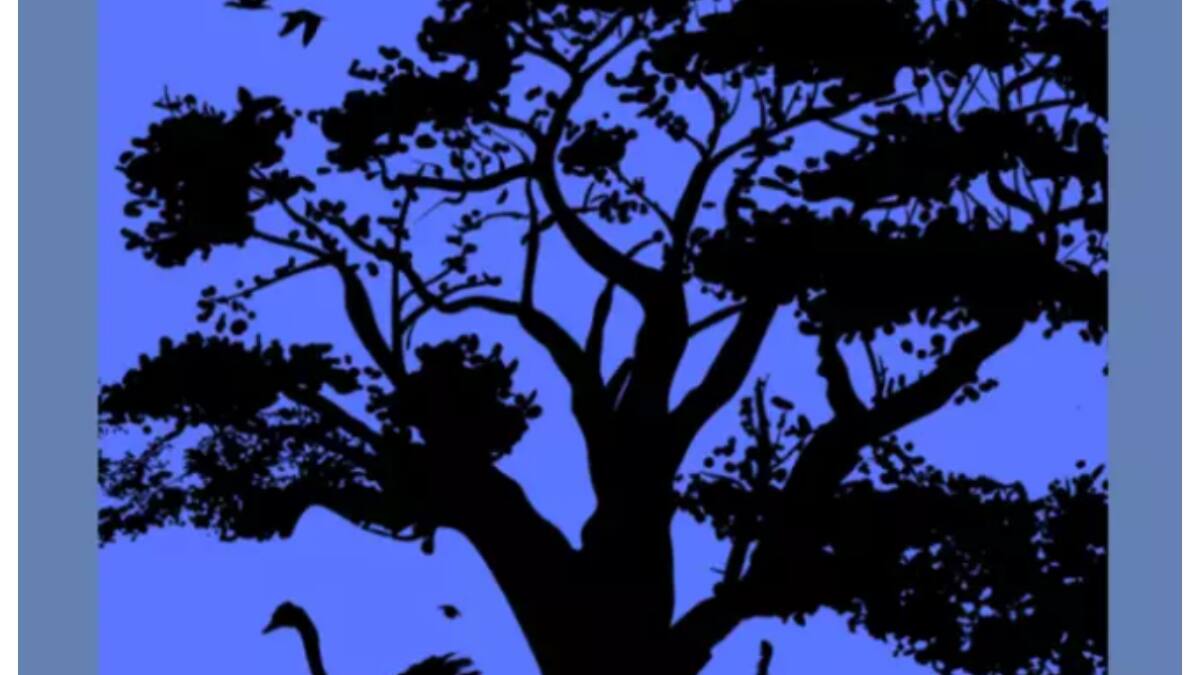 TEST de PERSONALIDAD: el primer animal que ves revela tu nivel de inteligencia