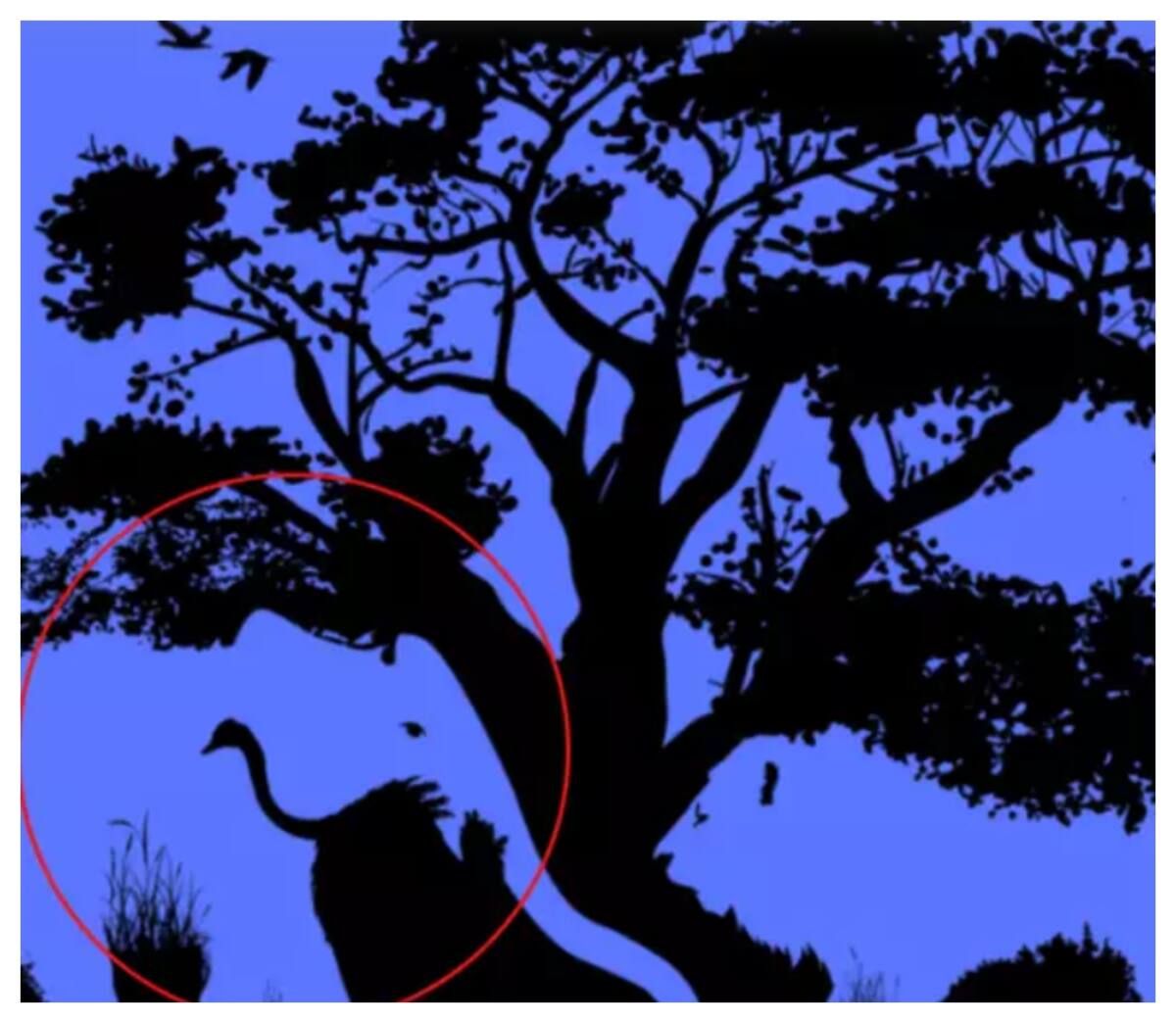 Test de inteligencia: el elefante como primera figura identificada.