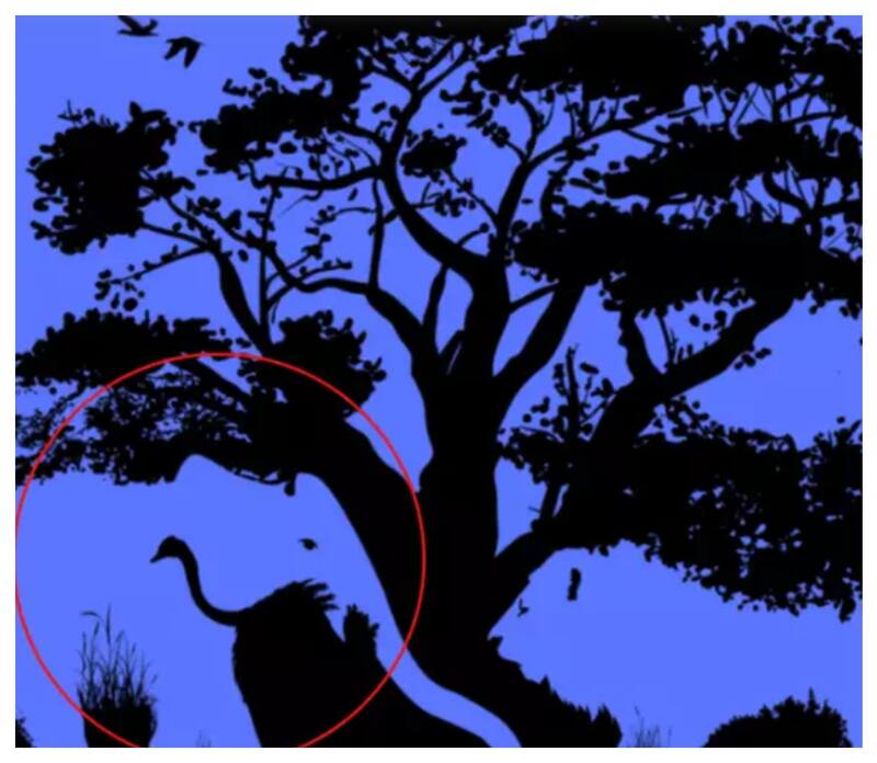 Test de inteligencia: el elefante como primera figura identificada.