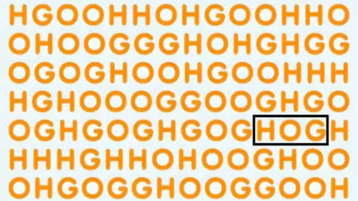 Test visual HOG