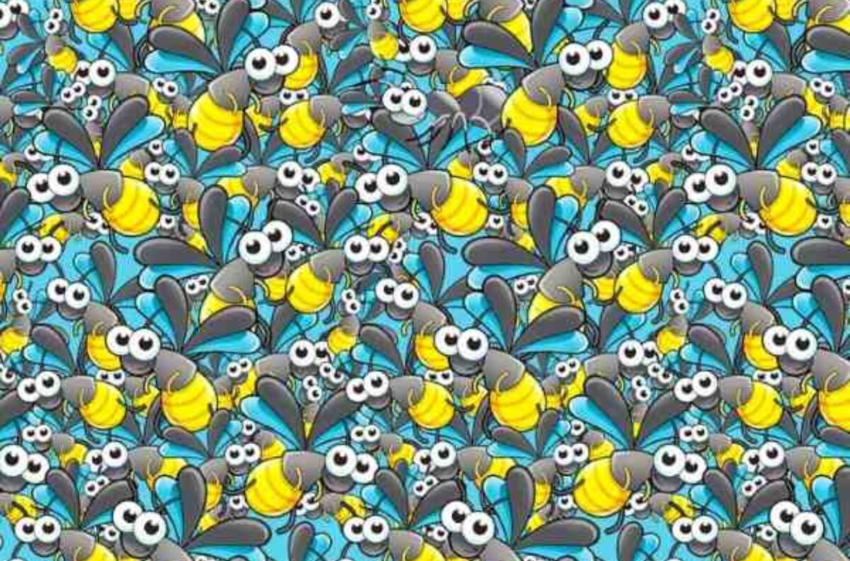 Test visual: Encuentra a la hormiga escondida en menos de 13 segundos