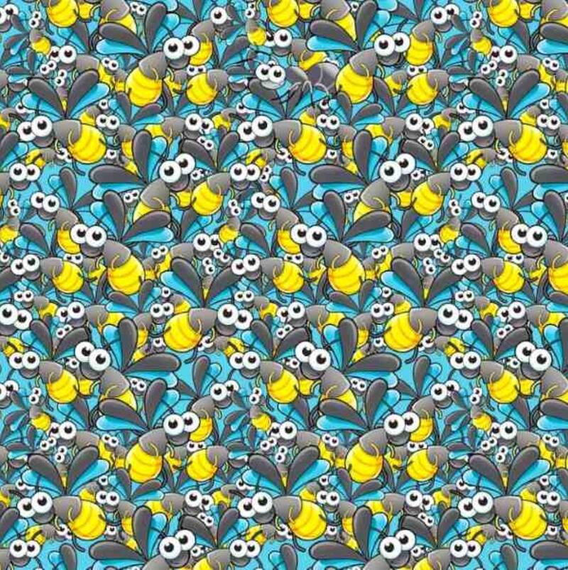 ¿Serás capaz de encontrar a la hormiga escondida en al imagen? ¡Tienes 13 segundos!