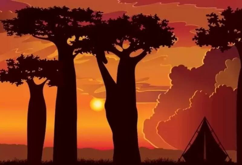 ¿Puedes encontrar a la jirafa antes de que oscurezca?