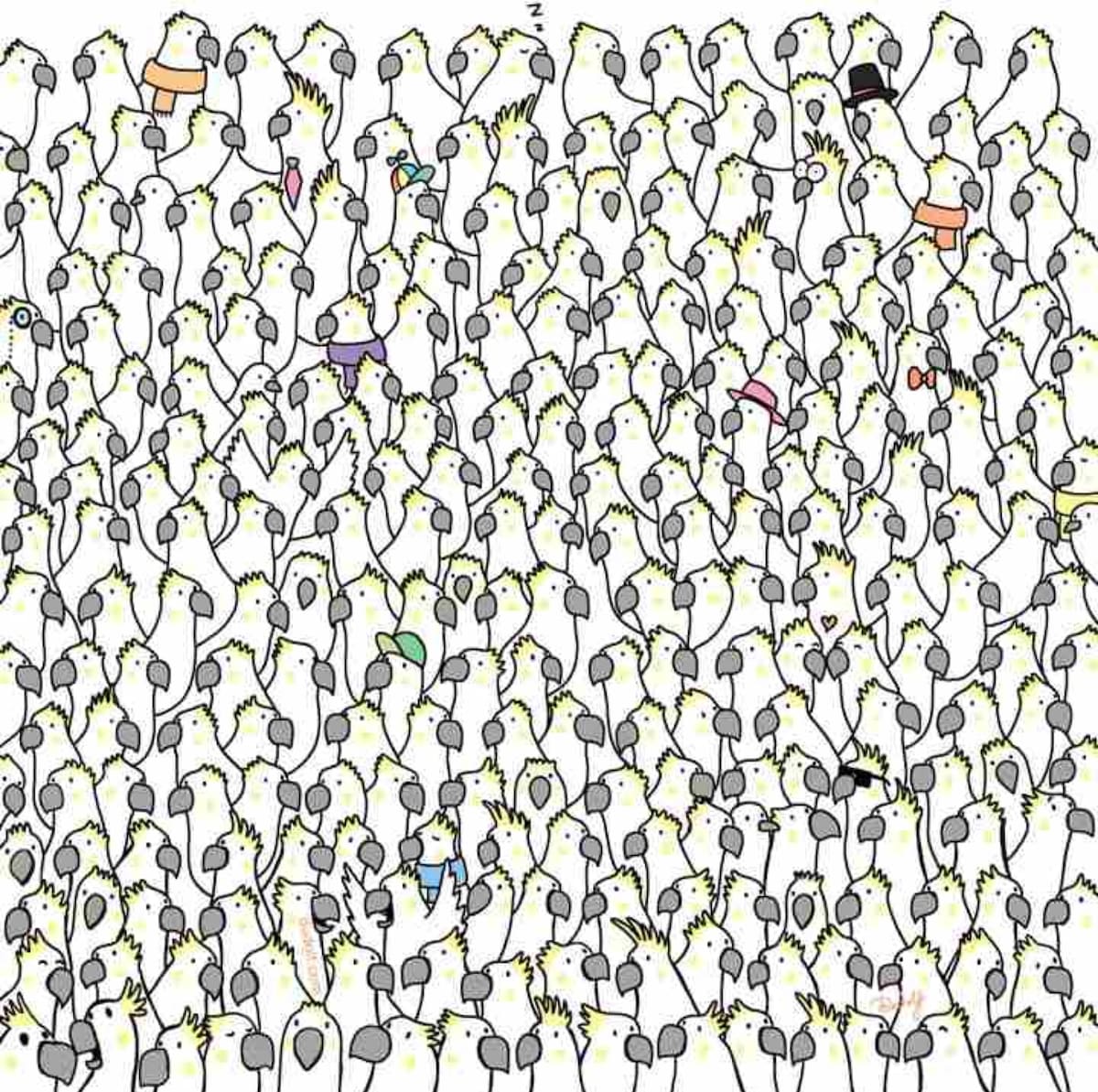 Encuentra a las cuatro palomas en la imagén en 15 segundos.