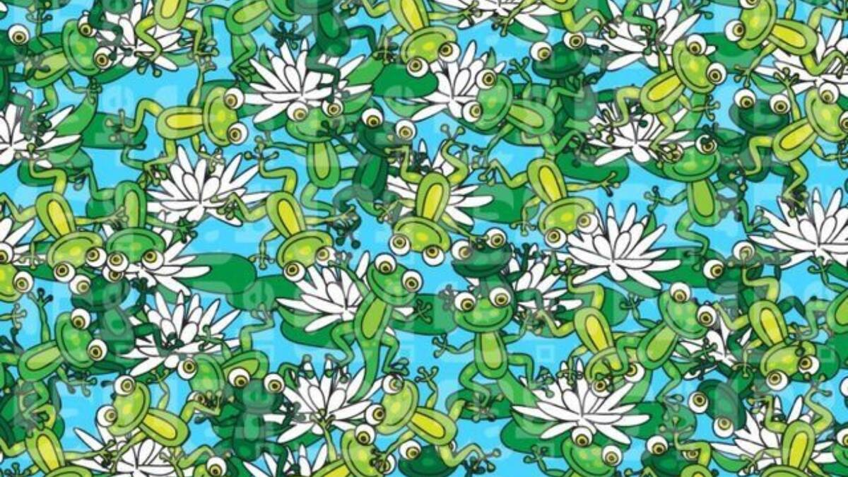 Reto visual de 5 segundos: Encuentra a quien no debería estar en la foto