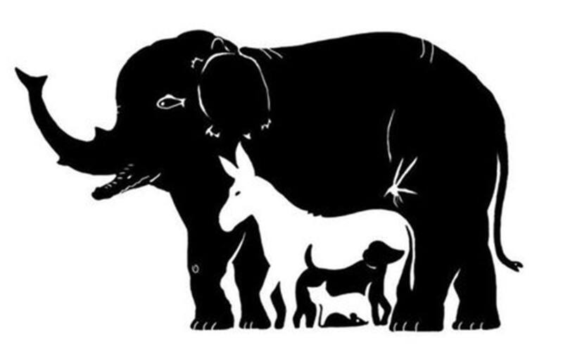 ¿Cuántos animales logras ver en la imagen?