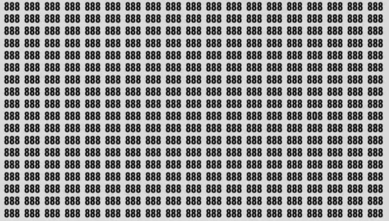 Encuentra el numero 808 en la imagen.