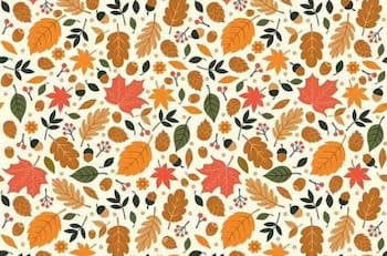 Test visual: el enigma del erizo