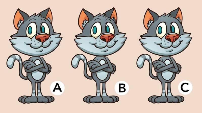 ¿Puedes ver entre estas tres opciones cuál es el gato diferente?
