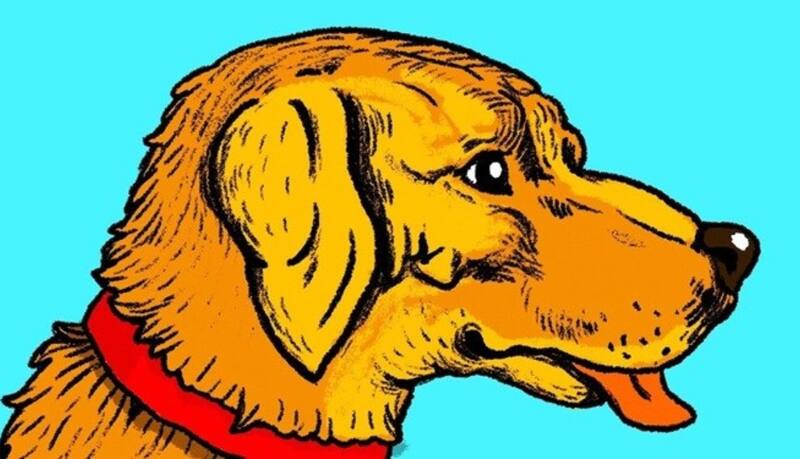 Encuentra al hombre oculto en la cabeza del perro.