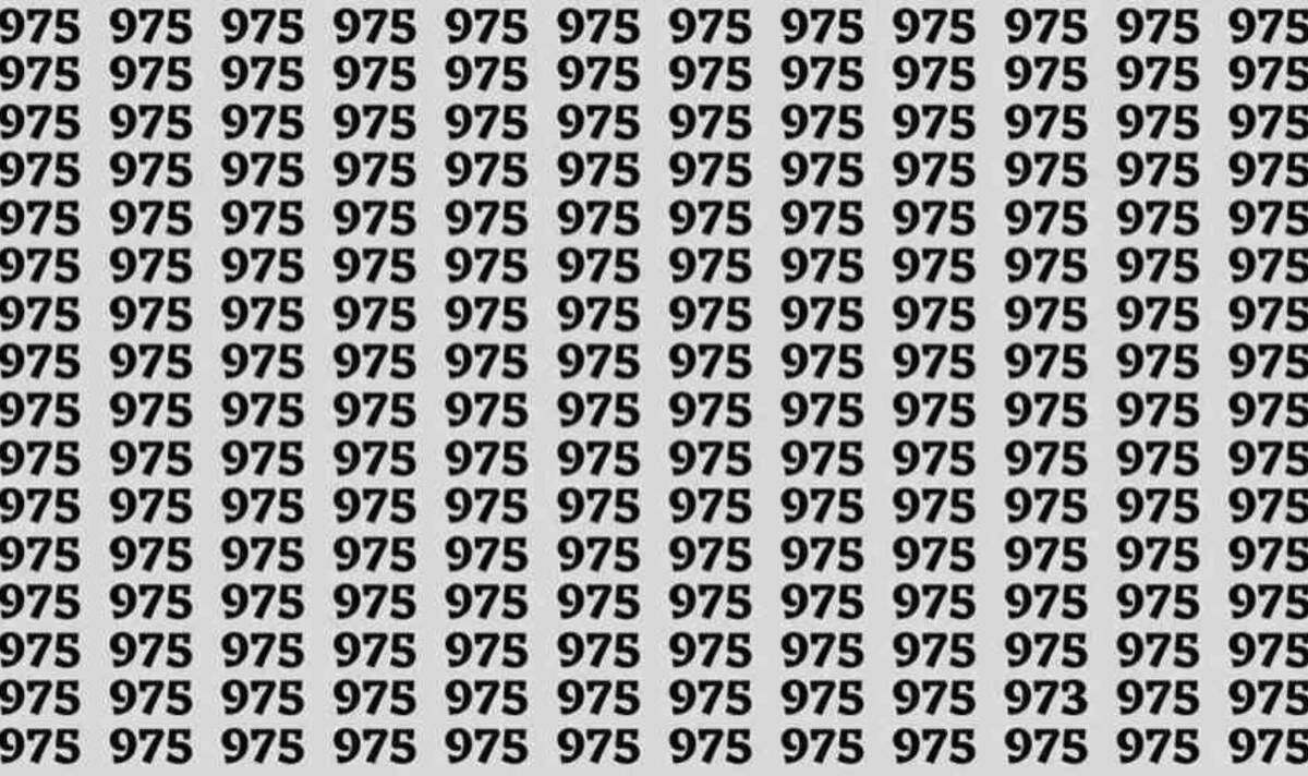 ¿Puedes ver el numero 973?