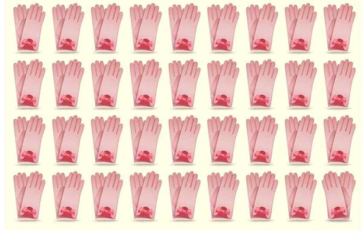 ¿Serás capaz de encontrar el par de guantes diferentes en esta imagen?